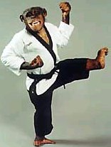 karatechimp.jpg